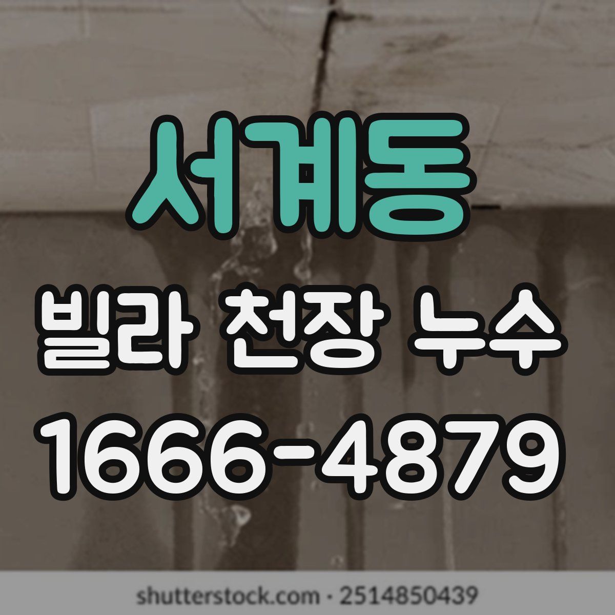 서계동 빌라 천장 누수