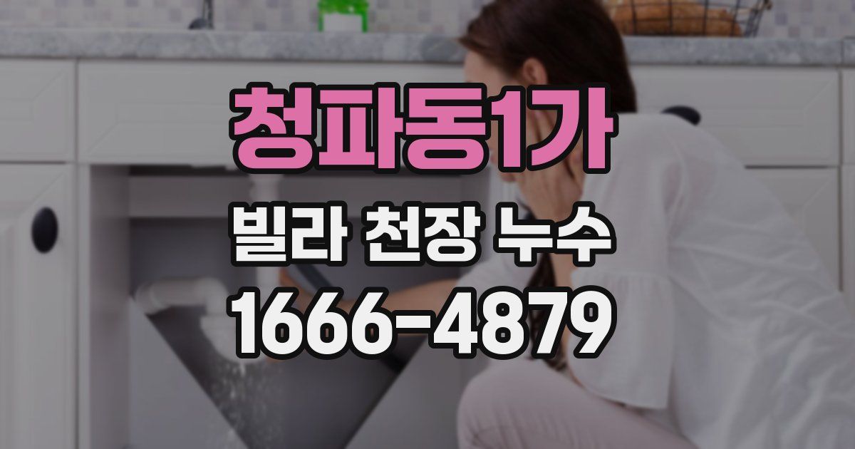 청파동1가 빌라 천장 누수