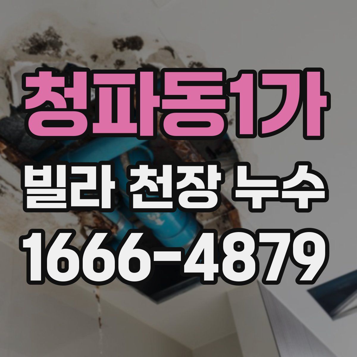 청파동1가 빌라 천장 누수