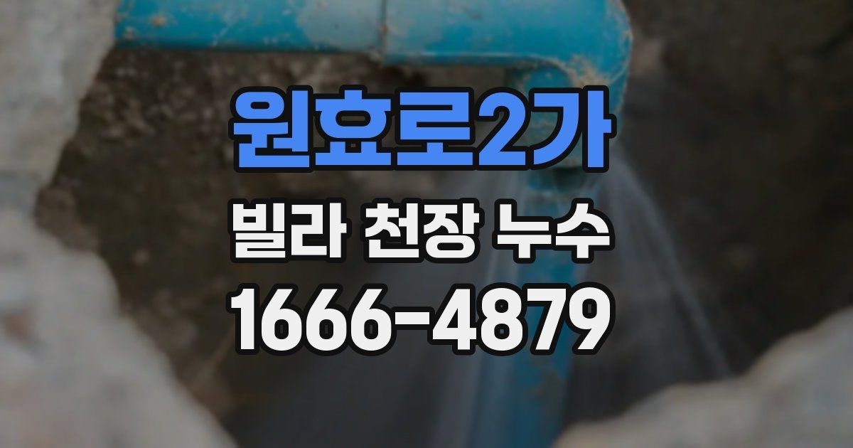 원효로2가 빌라 천장 누수