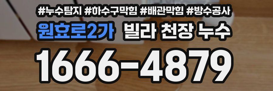 원효로2가 빌라 천장 누수