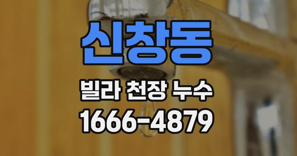 신창동 빌라 천장 누수