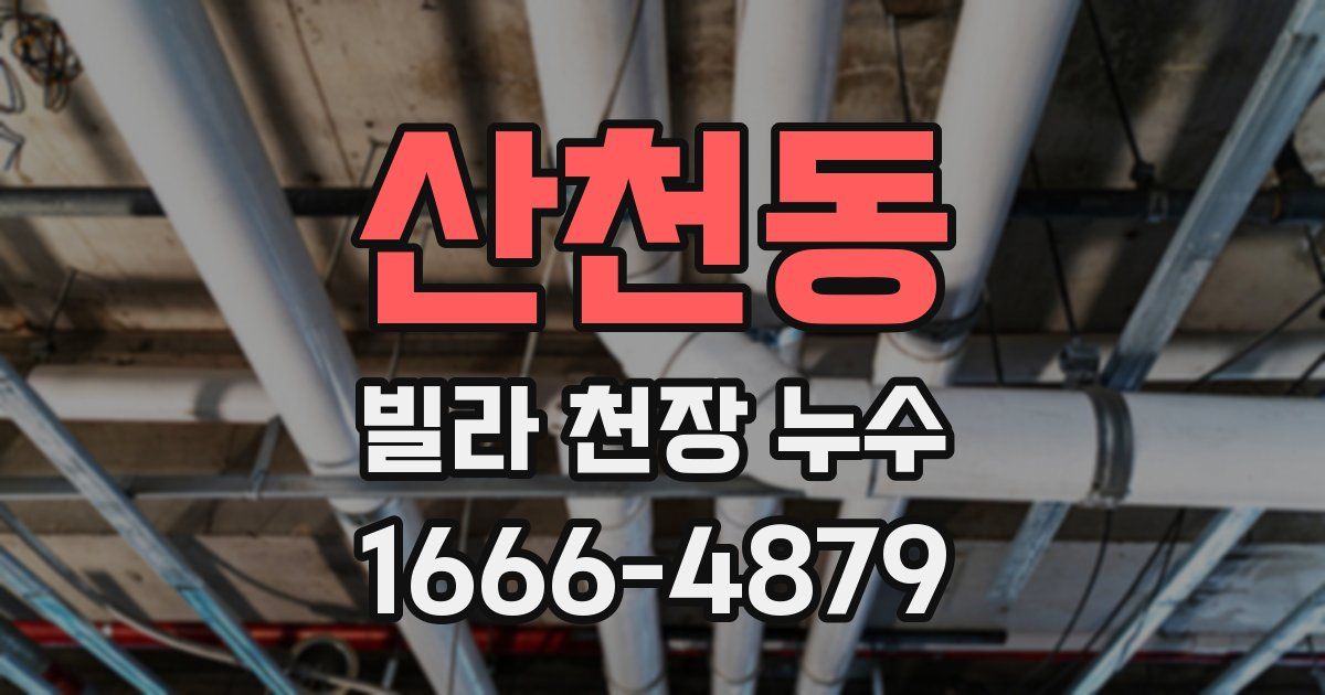 산천동 빌라 천장 누수
