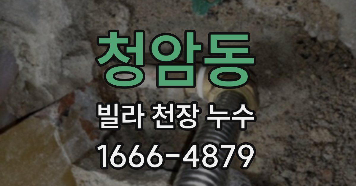 청암동 빌라 천장 누수
