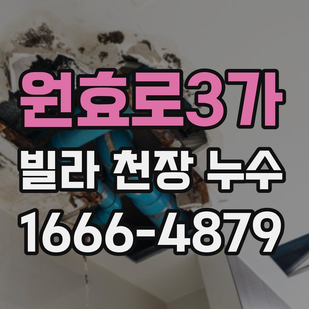 원효로3가 빌라 천장 누수
