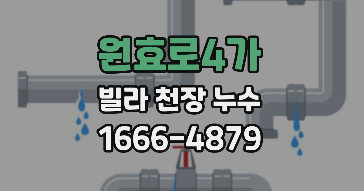 원효로4가 빌라 천장 누수