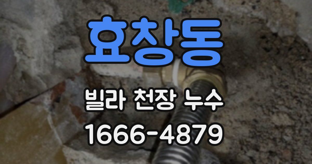 효창동 빌라 천장 누수