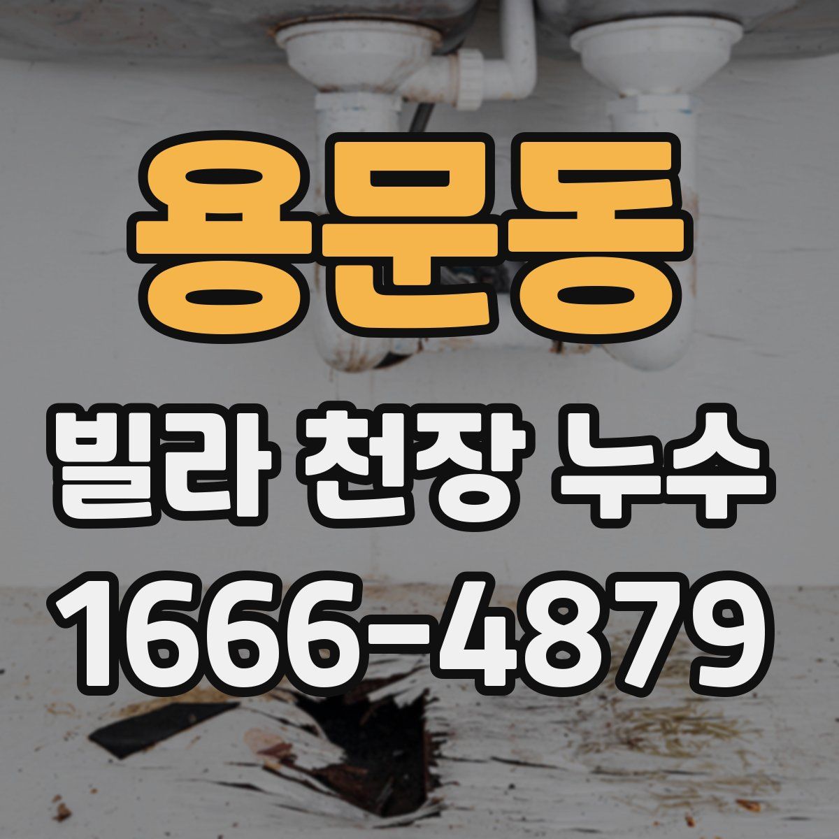 용문동 빌라 천장 누수