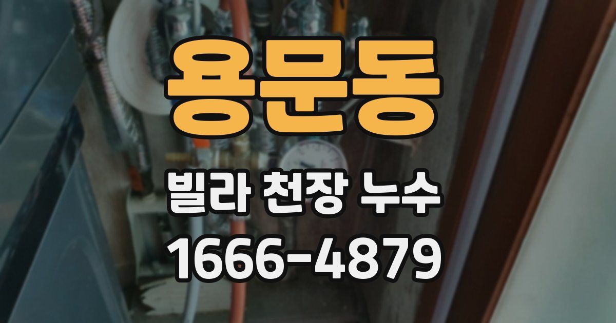 용문동 빌라 천장 누수