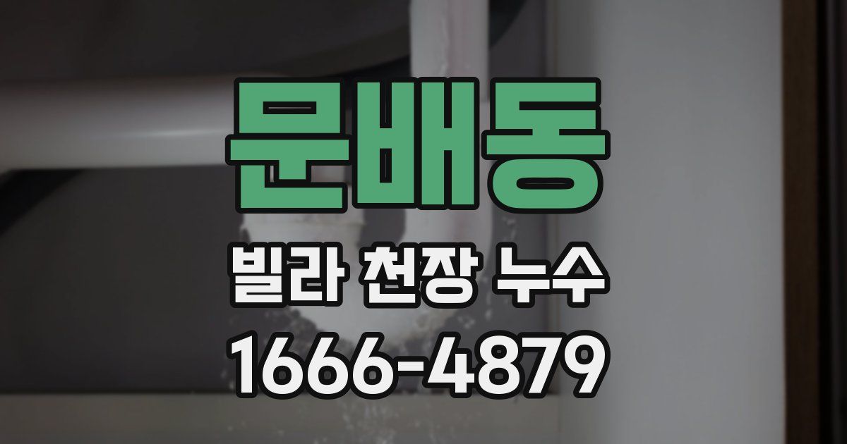 문배동 빌라 천장 누수