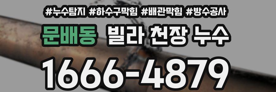 문배동 빌라 천장 누수