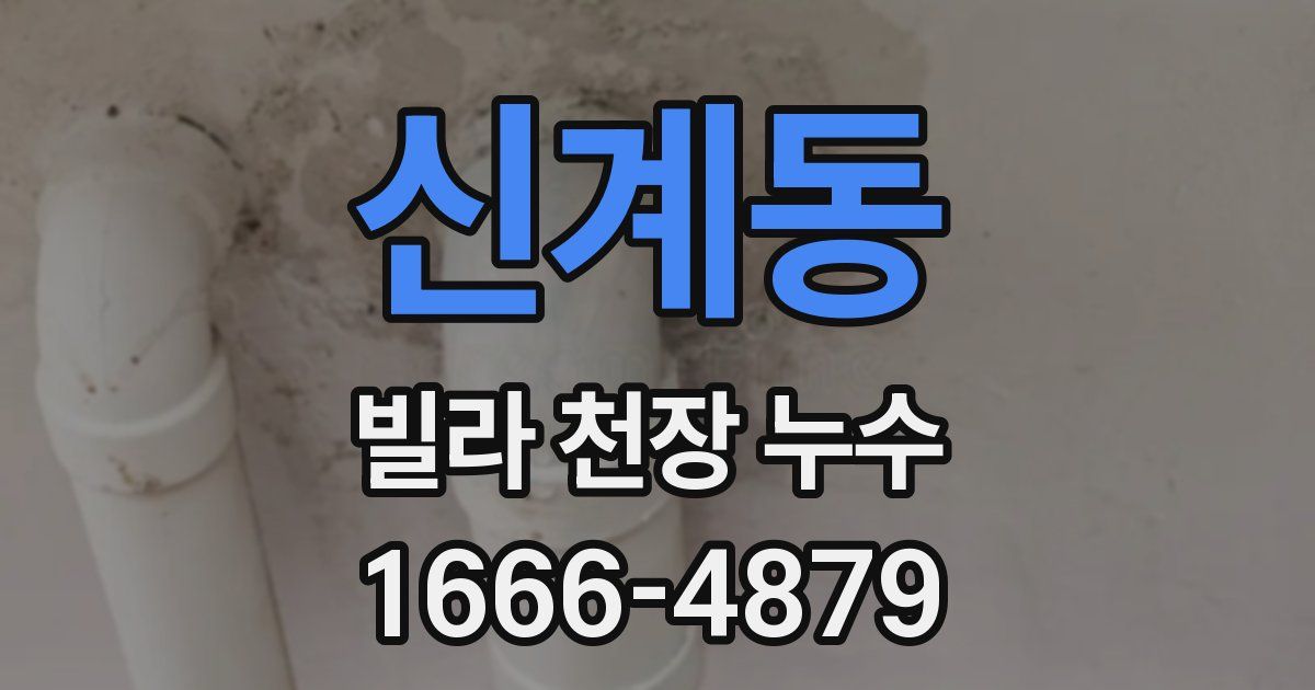 신계동 빌라 천장 누수