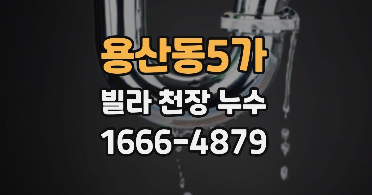 용산동5가 빌라 천장 누수