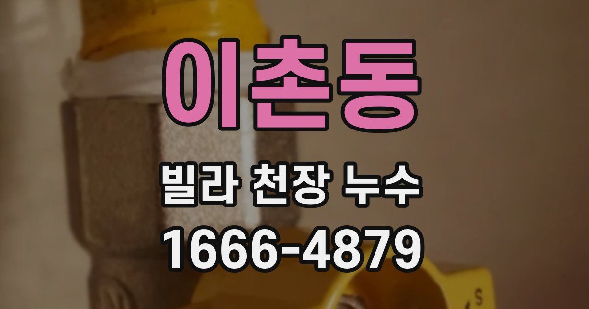 이촌동 빌라 천장 누수