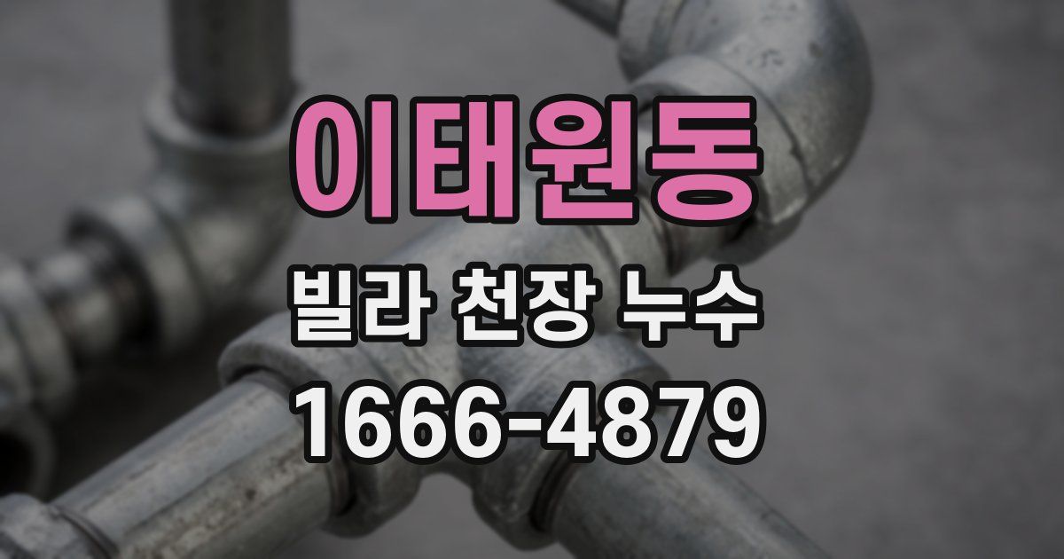 이태원동 빌라 천장 누수