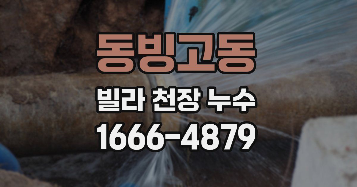 동빙고동 빌라 천장 누수