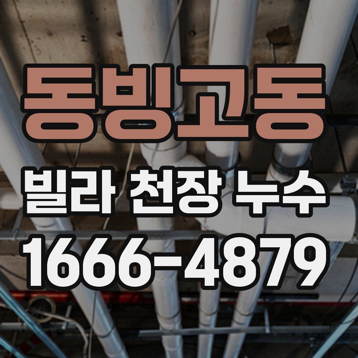 동빙고동 빌라 천장 누수