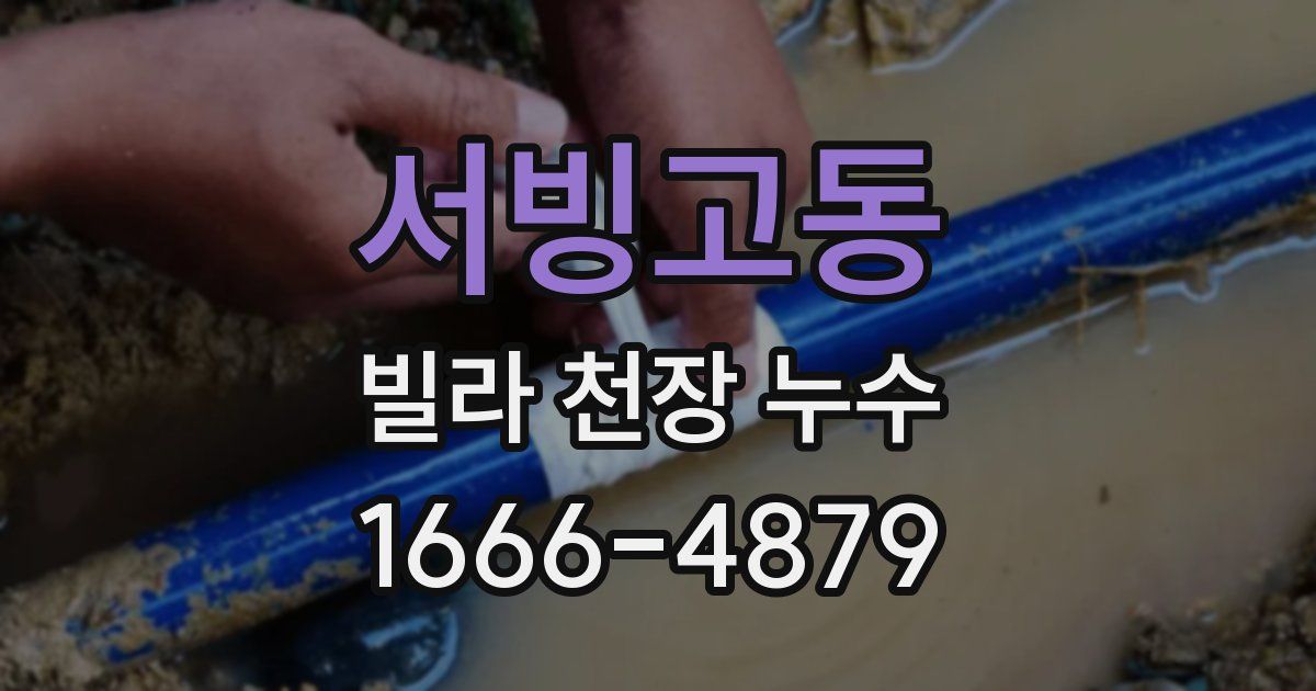 서빙고동 빌라 천장 누수