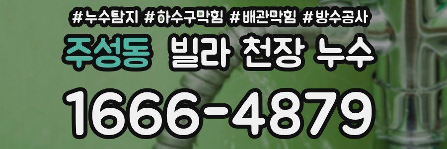 주성동 빌라 천장 누수