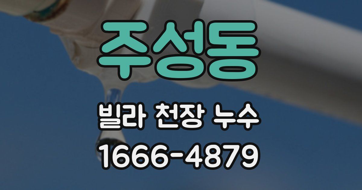 주성동 빌라 천장 누수
