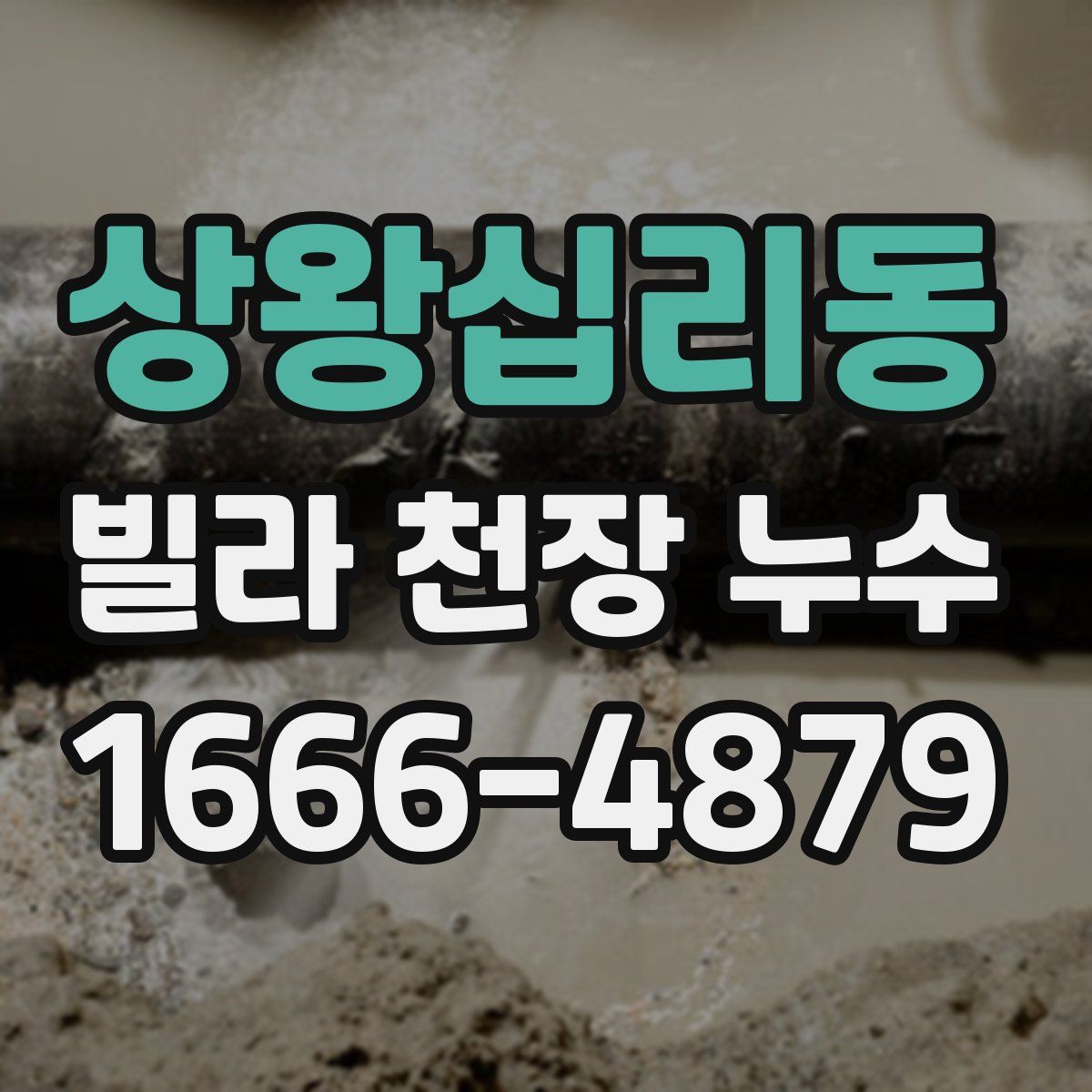 상왕십리동 빌라 천장 누수