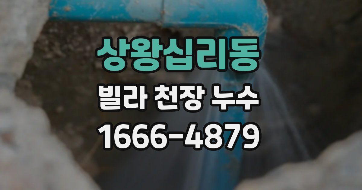 상왕십리동 빌라 천장 누수