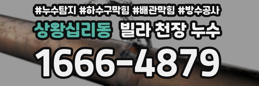상왕십리동 빌라 천장 누수