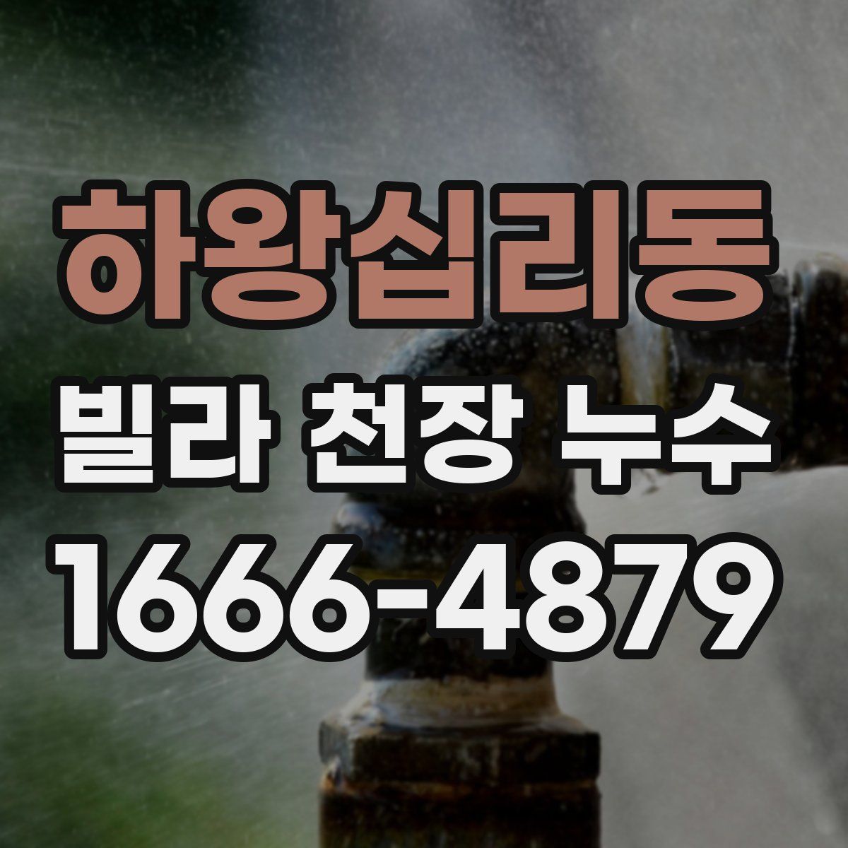 하왕십리동 빌라 천장 누수