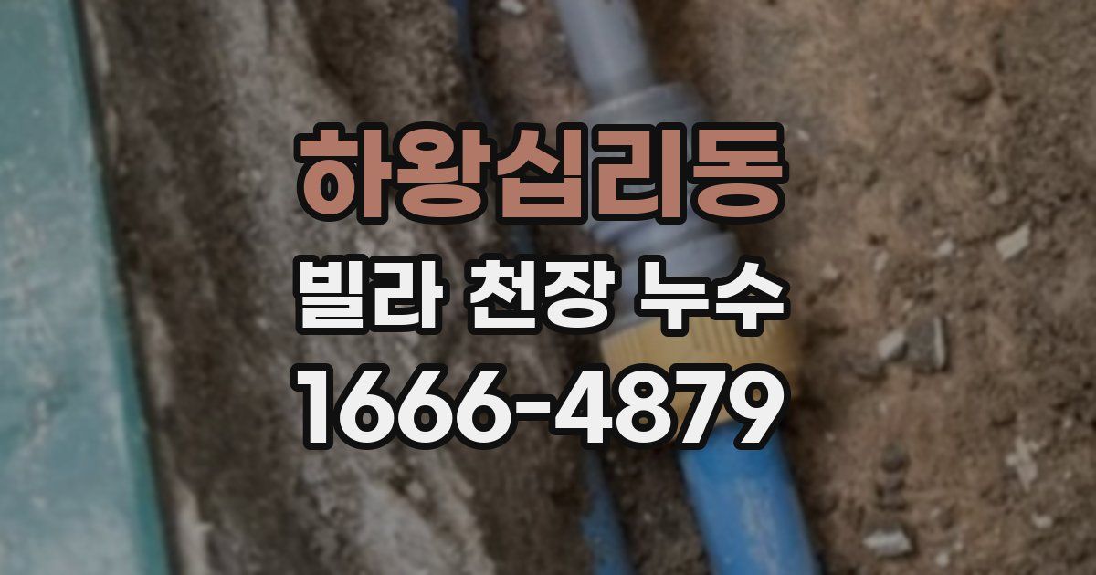 하왕십리동 빌라 천장 누수