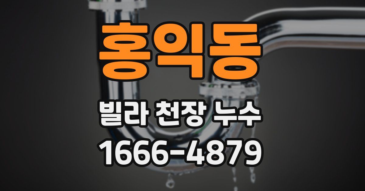 홍익동 빌라 천장 누수