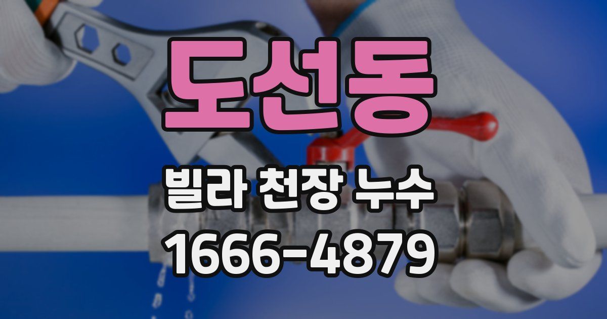 도선동 빌라 천장 누수
