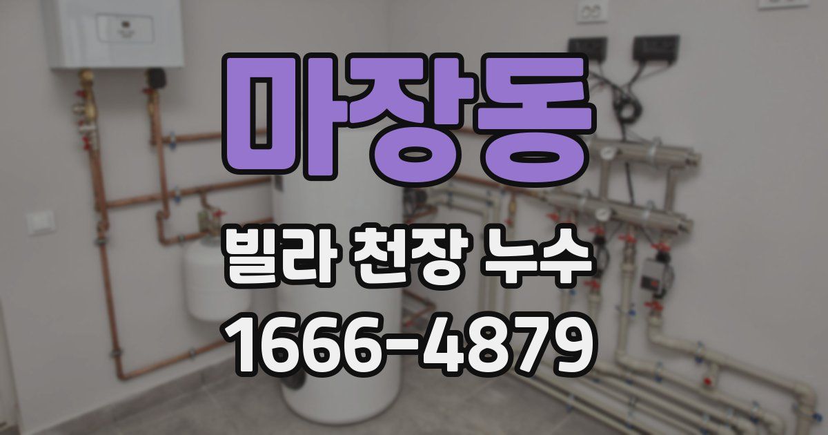 마장동 빌라 천장 누수