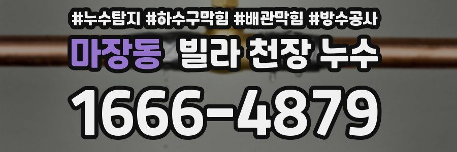 마장동 빌라 천장 누수