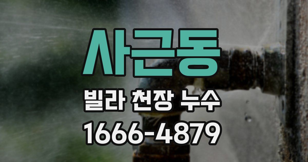 사근동 빌라 천장 누수