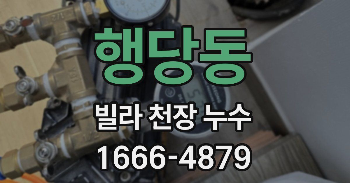 행당동 빌라 천장 누수