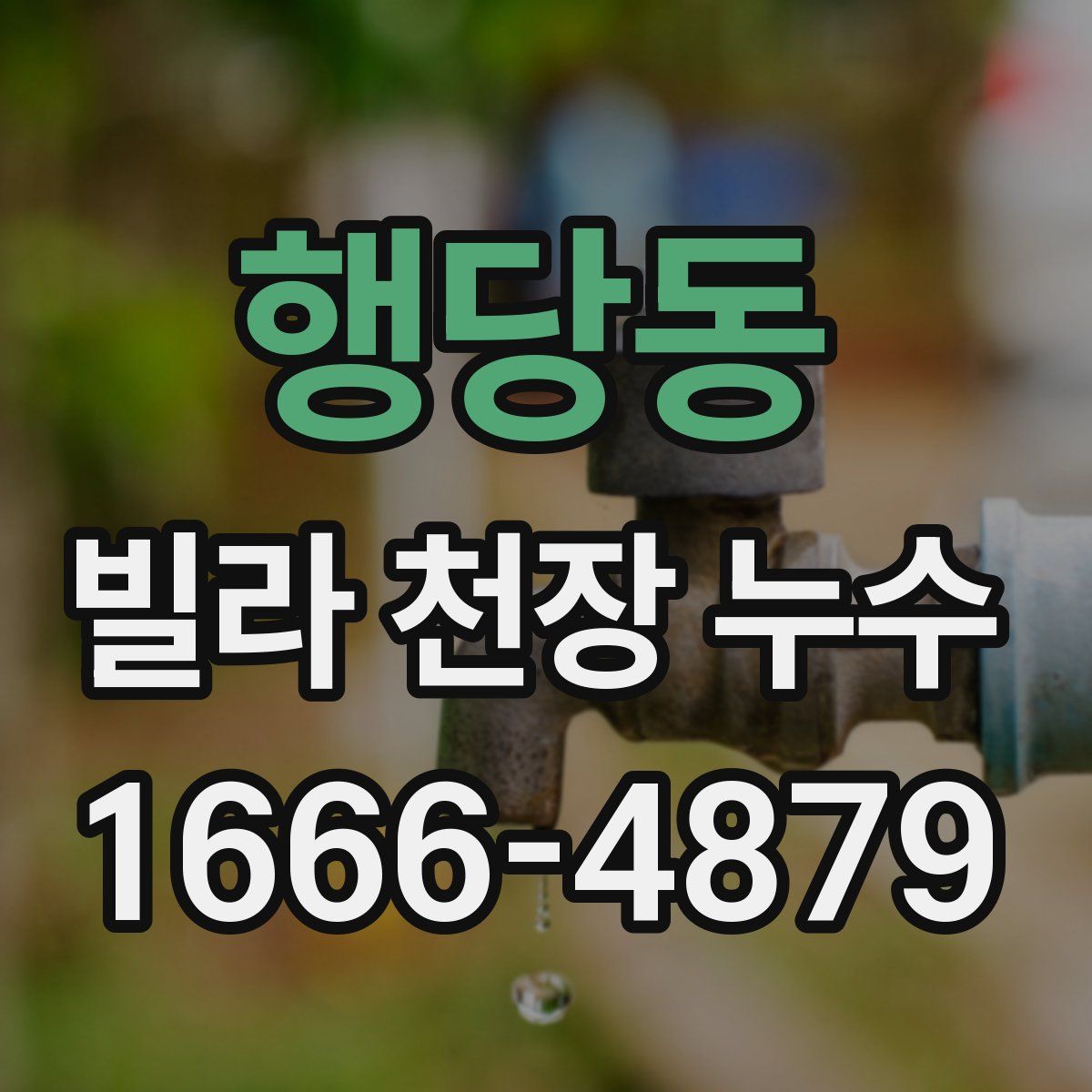 행당동 빌라 천장 누수