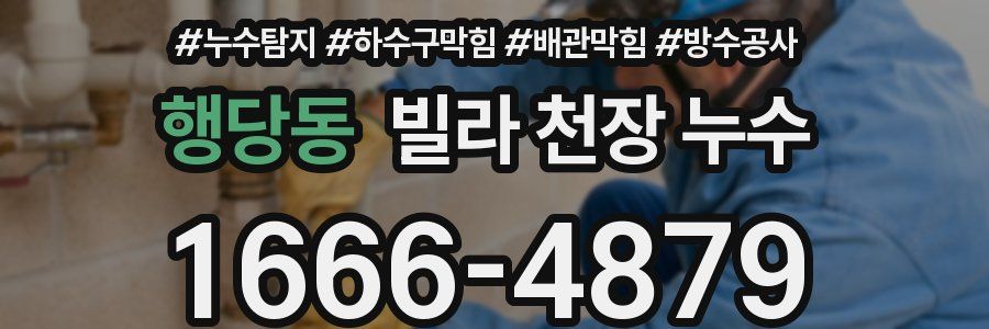 행당동 빌라 천장 누수