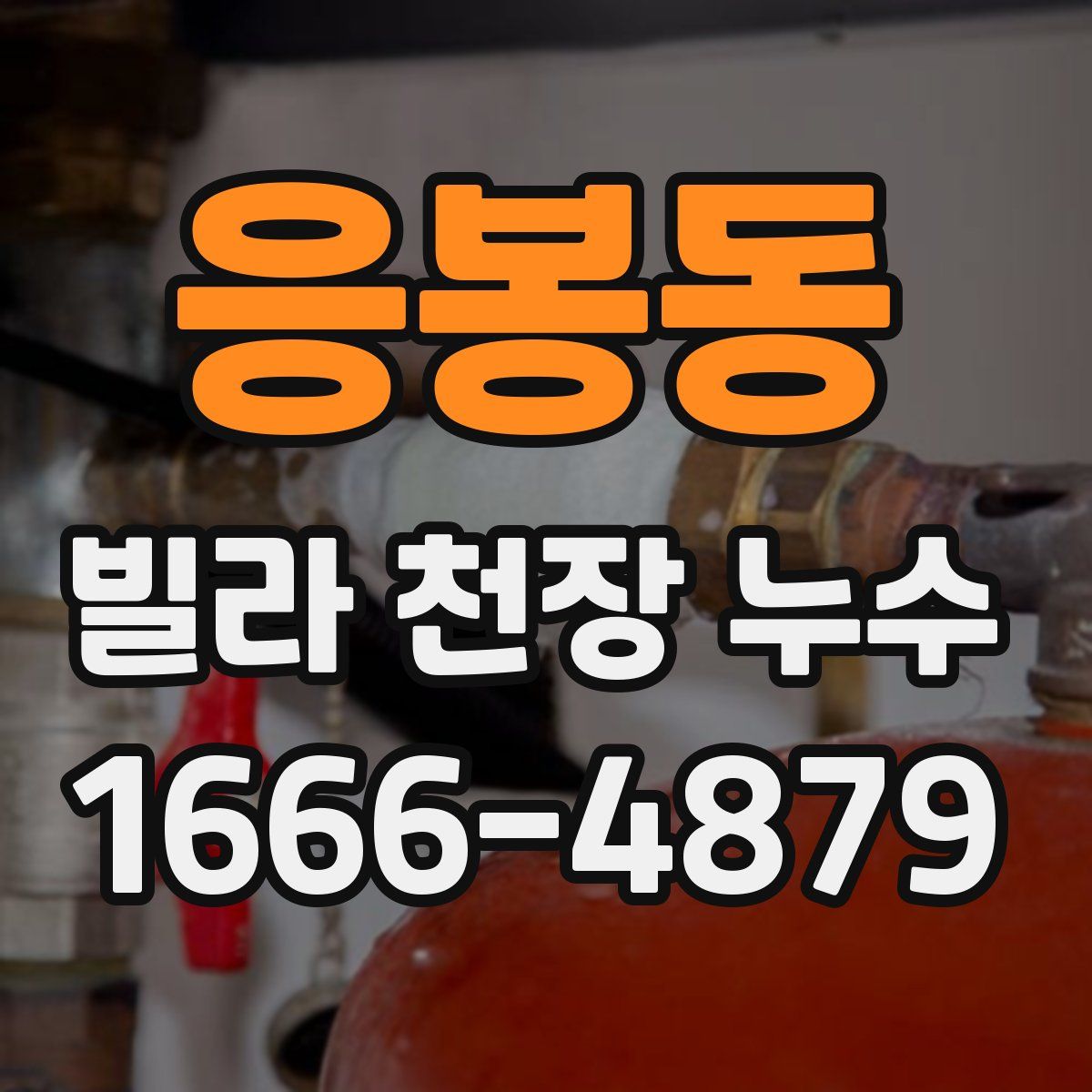 응봉동 빌라 천장 누수