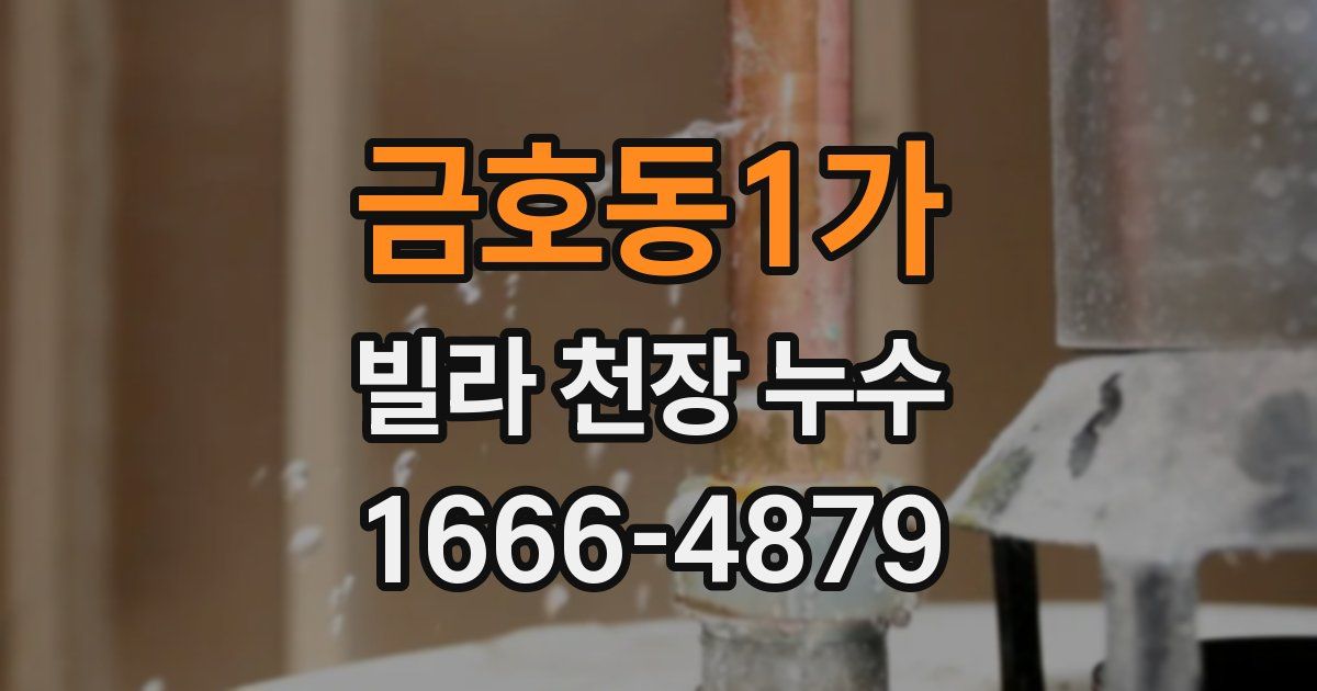 금호동1가 빌라 천장 누수