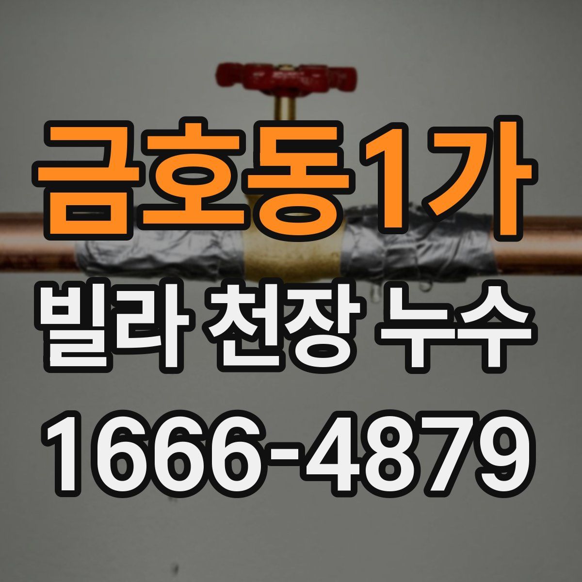 금호동1가 빌라 천장 누수