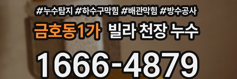 금호동1가 빌라 천장 누수