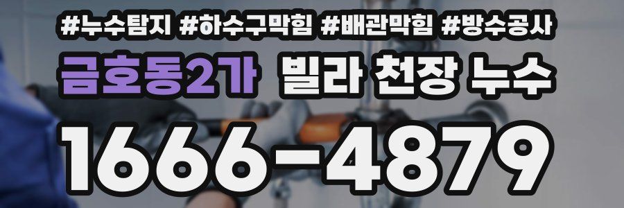 금호동2가 빌라 천장 누수