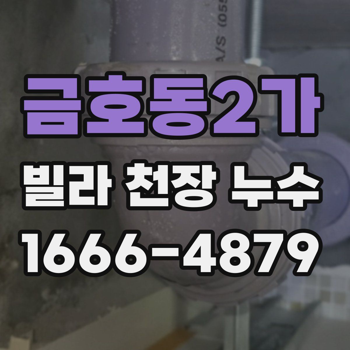 금호동2가 빌라 천장 누수
