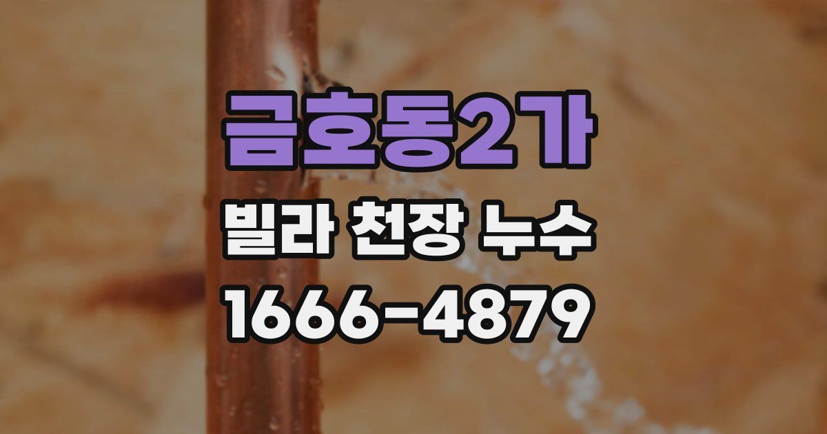금호동2가 빌라 천장 누수