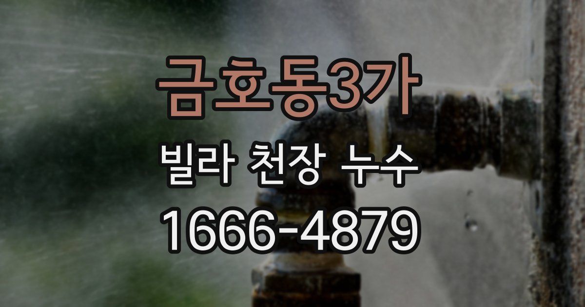 금호동3가 빌라 천장 누수