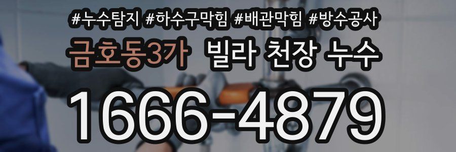 금호동3가 빌라 천장 누수