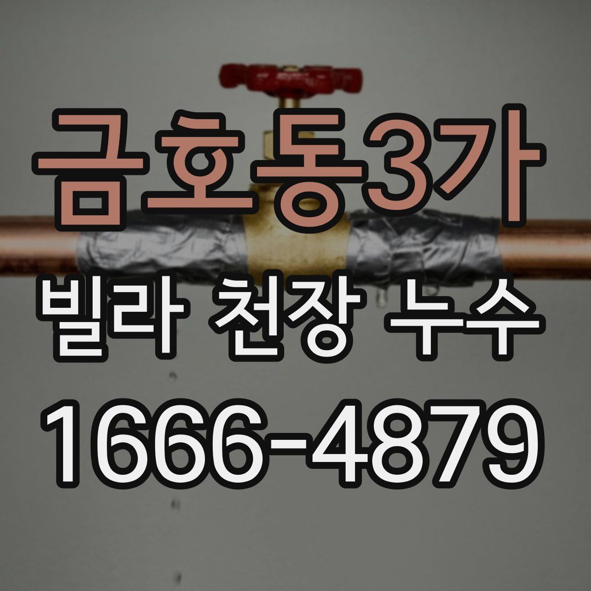 금호동3가 빌라 천장 누수