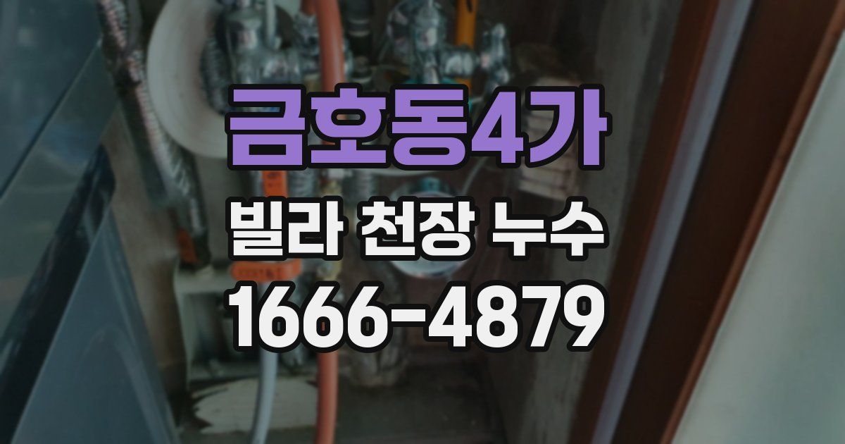 금호동4가 빌라 천장 누수