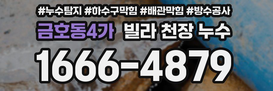 금호동4가 빌라 천장 누수