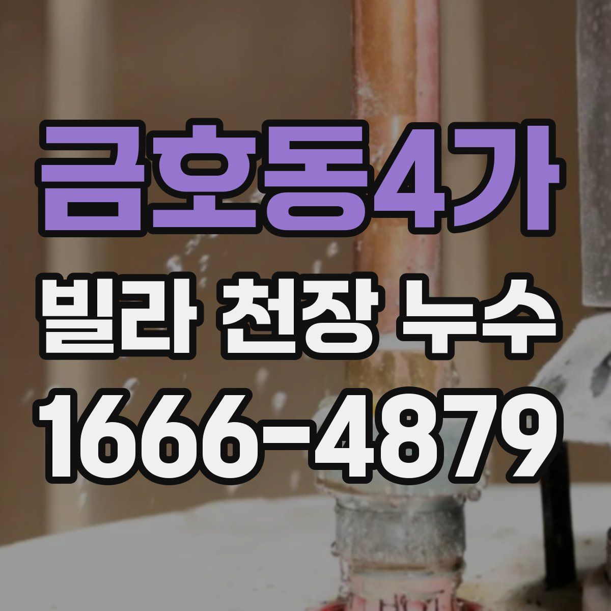 금호동4가 빌라 천장 누수